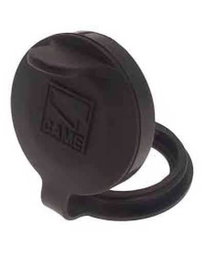 Защита целиндра замка A4366 Came 119RIA051 в Симферополе Запчасти для шлагбаумов и автоматики Pintop.ru