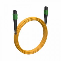 Кабельная сборка MPO(F) -MPO(F)-12 волокон 9/125 OS2, 1 m Cabeus (FOP-9-12-MPO(F)-12-MPO(F)-B-1m)