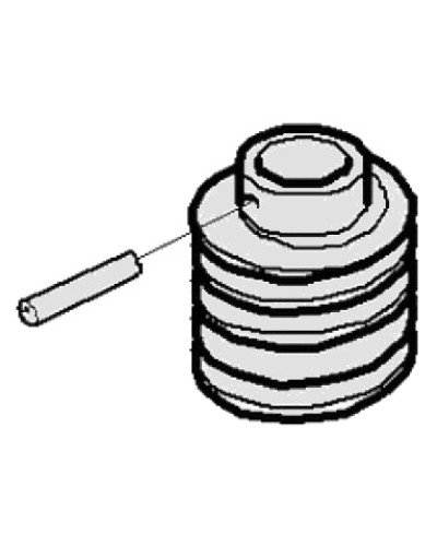 Червяк G2500 Came 119RIG094 в Симферополе Запчасти для шлагбаумов и автоматики Pintop.ru