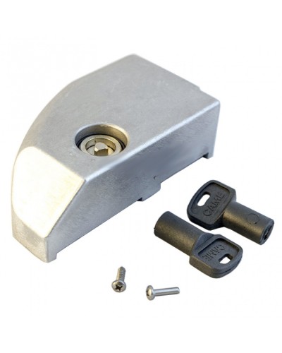 Дверца замка разблокировки BK Came 119RIBK012 в Симферополе Запчасти для шлагбаумов и автоматики Pintop.ru