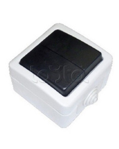 Экопласт EF602SA Переключатель 2-полюсный, двухклавишный с 2-х мест (сх.6+6) 10A (сер.) в Симферополе Розетки компьютерные и телефонные Pintop.ru