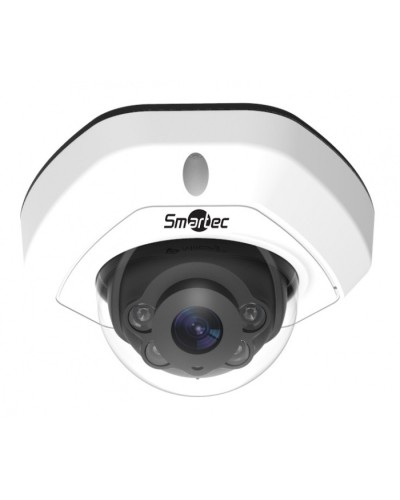 IP-камера видеонаблюдения уличная купольная Smartec STC-IPM3540/1 в Симферополе IP-камеры Pintop.ru