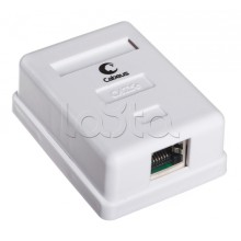 Розетка компьютерная RJ-45(8P8C), категория 5e, экранированная, одинарная, внешняя, Dual IDC(110&Krone type) Cabeus WS-8P8C-Cat.5e-SH-1