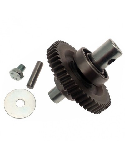 Шестерня редуктора FAST в сборе Came 119RID229 в Симферополе Запчасти для шлагбаумов и автоматики Pintop.ru