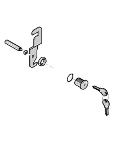 Замок дверцы G4040 G4041 Came 119RIG176 в Симферополе Запчасти для шлагбаумов и автоматики Pintop.ru