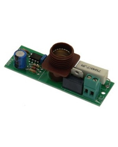 Плата лампы KIARO 24 Came 119RIR030 в Симферополе Запчасти для шлагбаумов и автоматики Pintop.ru