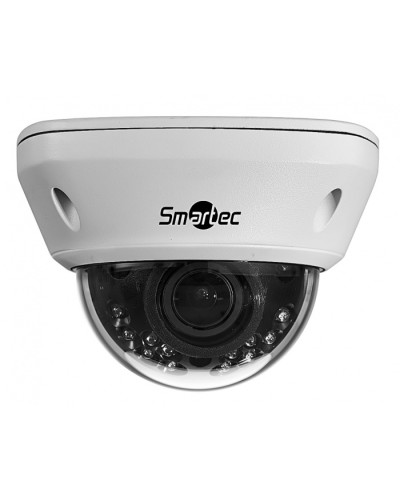 IP-камера видеонаблюдения купольная Smartec STC-IPM5591/1 в Симферополе IP-камеры Pintop.ru