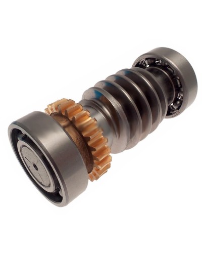 Червяк FROG Came 119RIA016 в Симферополе Запчасти для шлагбаумов и автоматики Pintop.ru