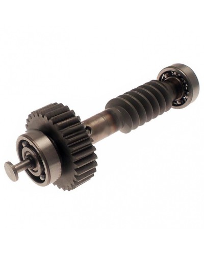 Червяк редуктора FAST в сборе Came 119RID228 в Симферополе Запчасти для шлагбаумов и автоматики Pintop.ru