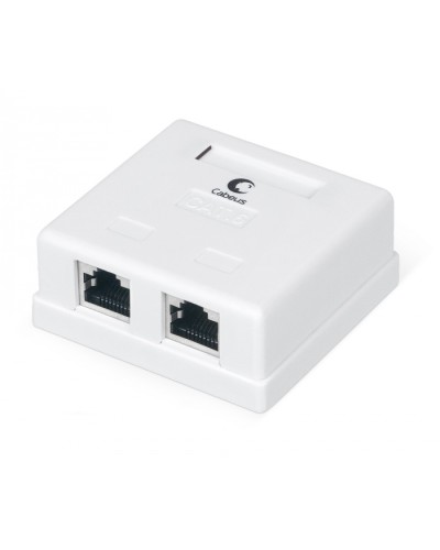 Розетка компьютерная RJ-45(8P8C), категория 6, экранированная, двойная, внешняя, Krone type Cabeus WS-8P8C-Cat.6-SH-2 в Симферополе Розетки компьютерные и телефонные Pintop.ru