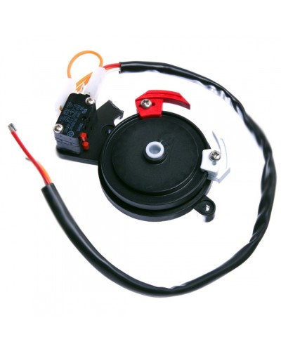 Концевые микровыключатели в сборе BX-243 Came 119RIBX041 в Симферополе Запчасти для шлагбаумов и автоматики Pintop.ru