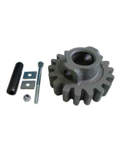 Шестерня ведущая ВК Came 119RIBK002 в Симферополе Запчасти для шлагбаумов и автоматики Pintop.ru