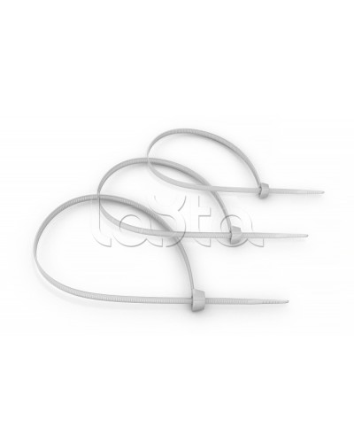 Стяжка нейлоновая неоткрывающаяся, безгалогенная (halogen free) 100x2.5мм, (100 шт) Cabeus CT-100 в Симферополе Аксессуары для кабель-канала Pintop.ru