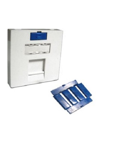 Вставка 45x45 на 1 кейстоун, угловая, со шторкой, маркировкой и иконками, белая LANMASTER LAN-SIP-23A-WH в Симферополе Аксессуары для кабель-канала Pintop.ru