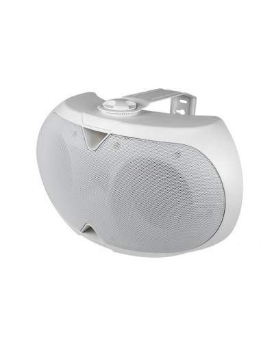 Громкоговоритель настенный 2-х полосный VOLTA ELLIPSE-2440TW в Симферополе Система оповещения и трансляции Volta Pintop.ru