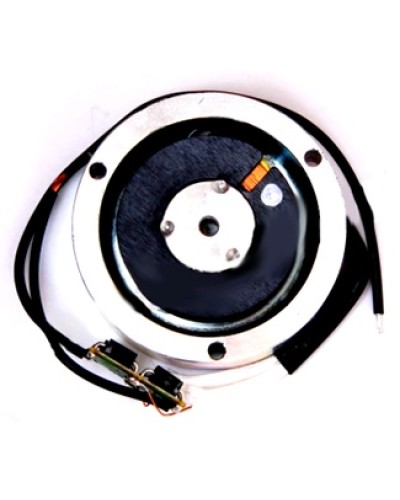 Электромагнит BY1500T Came 119RIY034 в Симферополе Запчасти для шлагбаумов и автоматики Pintop.ru