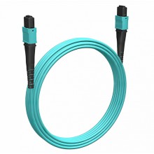 Кабельная сборка MPO(F) -MPO(F)-8 волокон 50/125 OM3, 3 m Cabeus (FOP-50-OM3-8-MPO(F)-8-MPO(F)-B-3m)