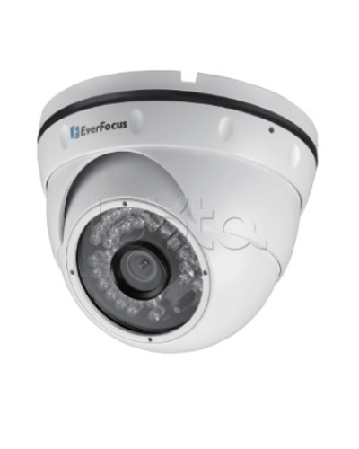 IP-камера видеонаблюдения уличная купольная EverFocus EBN-268 в Симферополе IP-камеры Pintop.ru