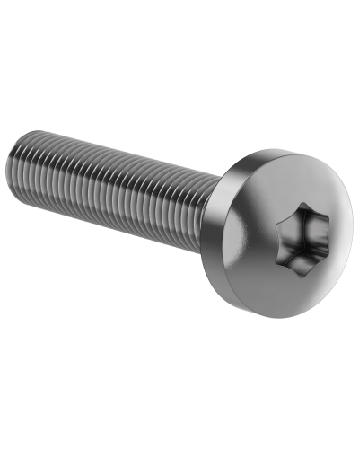 Винт М6х30 IEK (FO-00D-VTORX-M6X30-020) в Симферополе Аксессуары для стоек и шкафов Pintop.ru