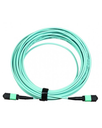 Сборка кабельная LANMASTER (LAN-12M-12M/OM3B-5.0) в Симферополе Коннекторы Pintop.ru