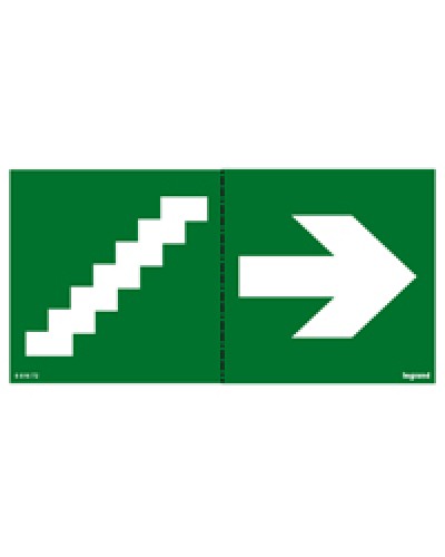Пиктограмма 100х200 лестница стрелка Legrand 661672 в Симферополе Дополнительное оборудование для ОПС Pintop.ru