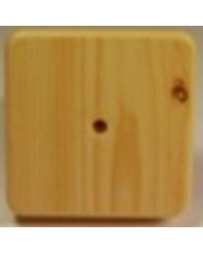 Коробка распаячная, с винтом, 100x100x20 (50 шт/уп) ПожТехКабель 030-009 в Симферополе Распределительные коробки Pintop.ru