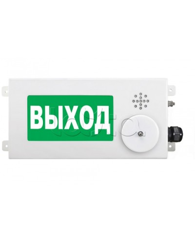 Табло световое взрывозащищенное Спектрон ТСВ-Exi-М-Прометей-МИНИ 12-36В в Симферополе Оповещатели Ex Pintop.ru