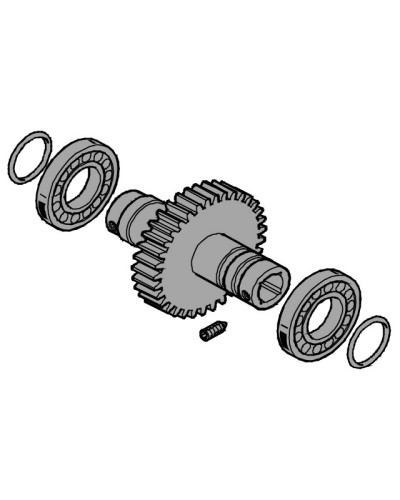 Вал выходной EMEGA Came 119RIE062 в Симферополе Запчасти для шлагбаумов и автоматики Pintop.ru