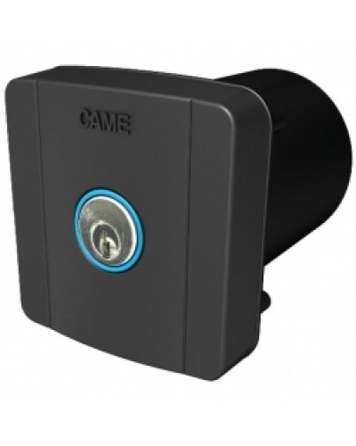 Ключ-выключатель встраиваемый Came 806SL-0020 в Симферополе Запчасти для шлагбаумов и автоматики Pintop.ru