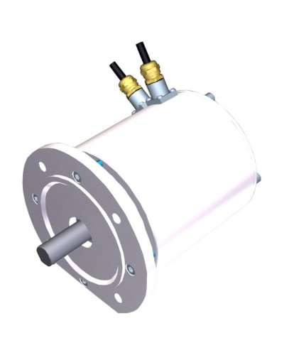 Электродвигатель FROG-MS Came 119RIA081 в Симферополе Запчасти для шлагбаумов и автоматики Pintop.ru